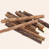 Natural Matatabi Catnip Chew Sticks for Cats