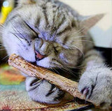 Natural Matatabi Catnip Chew Sticks for Cats