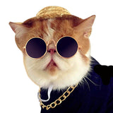 Cool Fashion Cat Sunglasses
